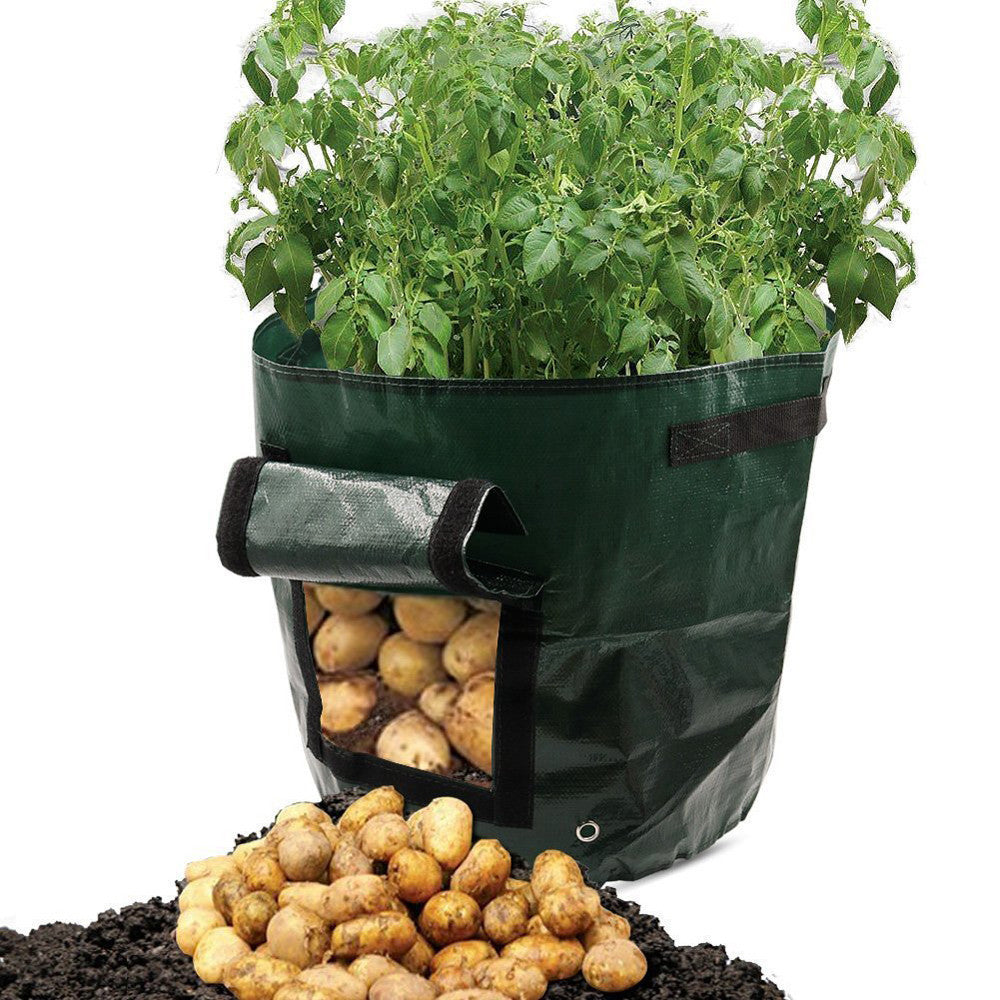 PE cloth garden planting bag Trendsi
