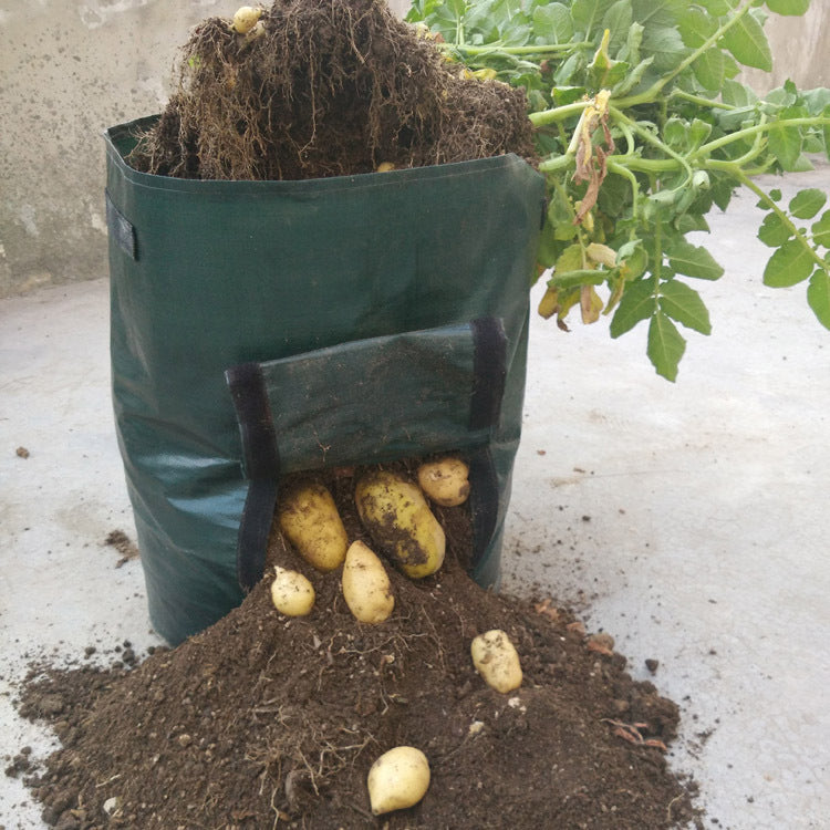 PE cloth garden planting bag Trendsi