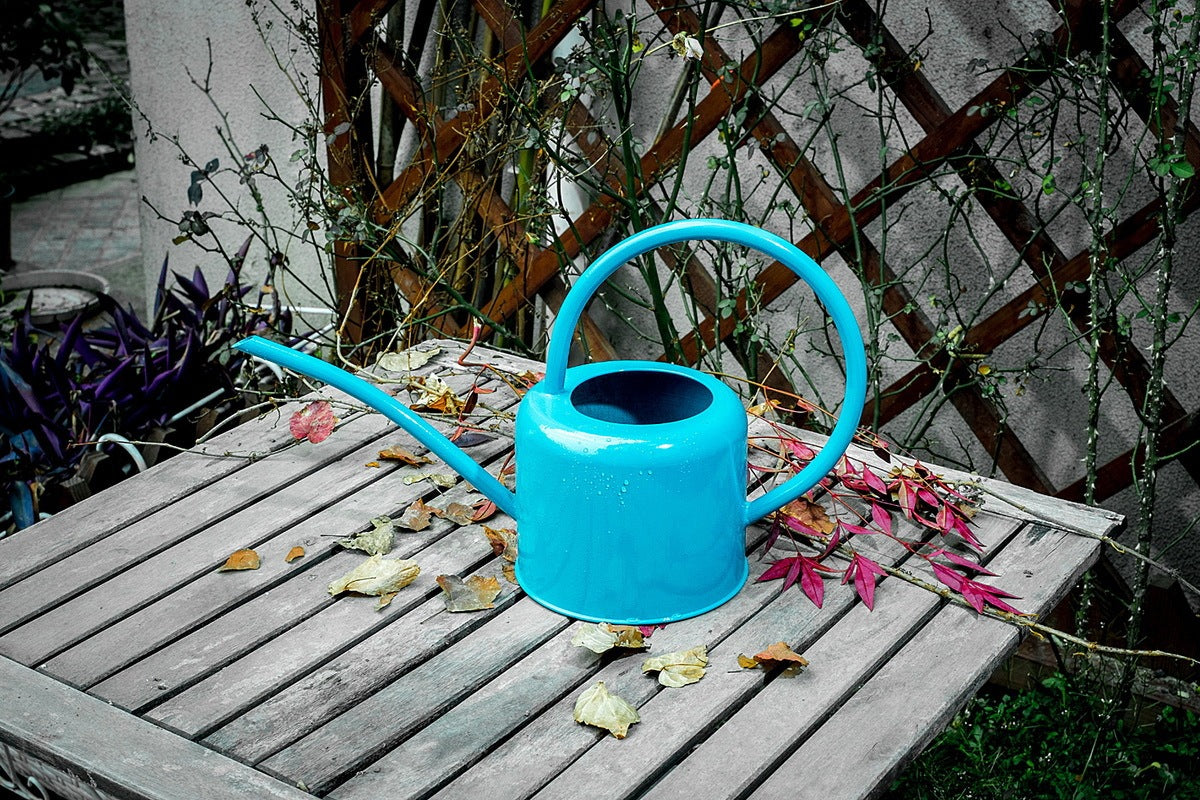 Watering Iron Sheet Watering Pot Gardening Garden Greening Vegetable Garden Large Capacity Kettle Trendsi