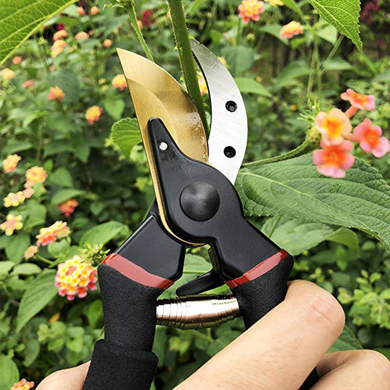 Garden Tool Pruning Shears Wholesale Garden Gardening Shears Branch Shears With Safety Lock Trendsi