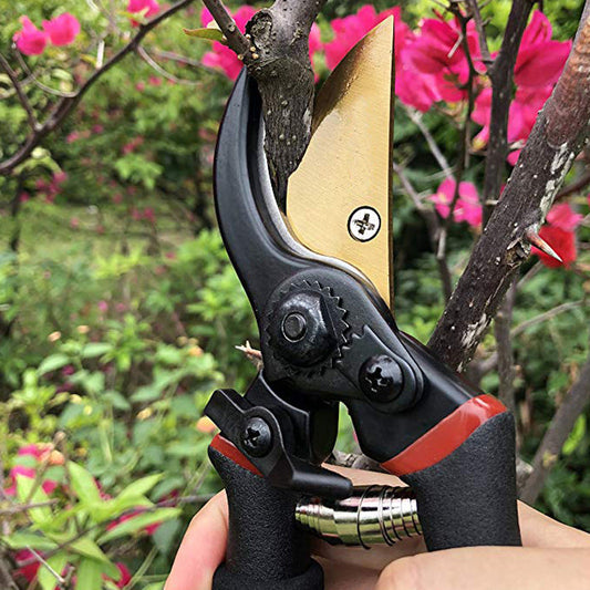 Garden Tool Pruning Shears Wholesale Garden Gardening Shears Branch Shears With Safety Lock Trendsi