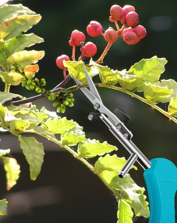 Mini Scissors Lightweight Small Picking Shears Pruning Shears Stainless Steel Fruits And Flowers Shears Trendsi
