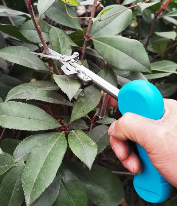 Mini Scissors Lightweight Small Picking Shears Pruning Shears Stainless Steel Fruits And Flowers Shears Trendsi