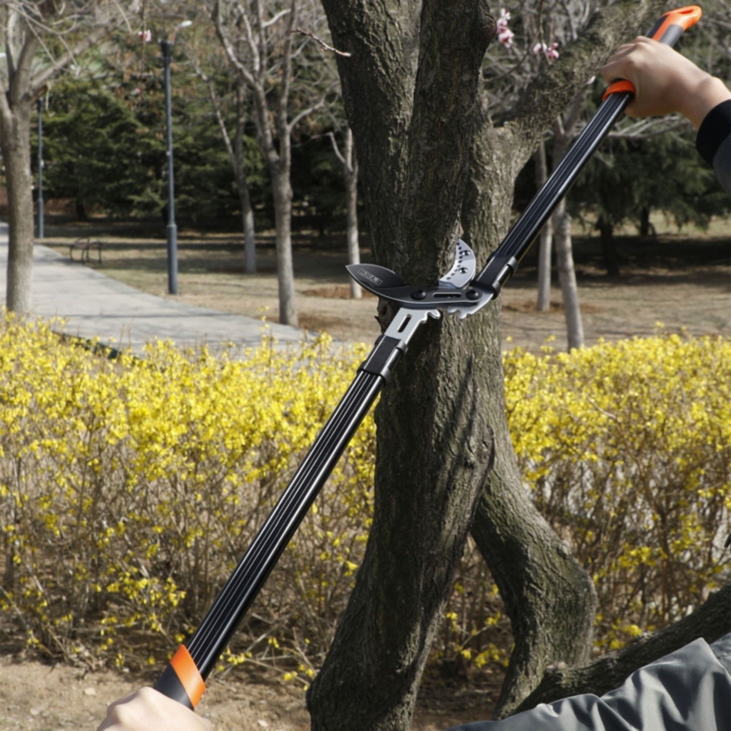 Pruning Shears Branch Special Scissors Gardening Trendsi