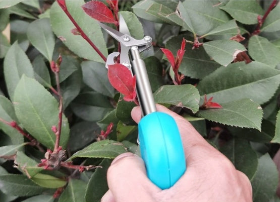 Mini Scissors Lightweight Small Picking Shears Pruning Shears Stainless Steel Fruits And Flowers Shears Trendsi